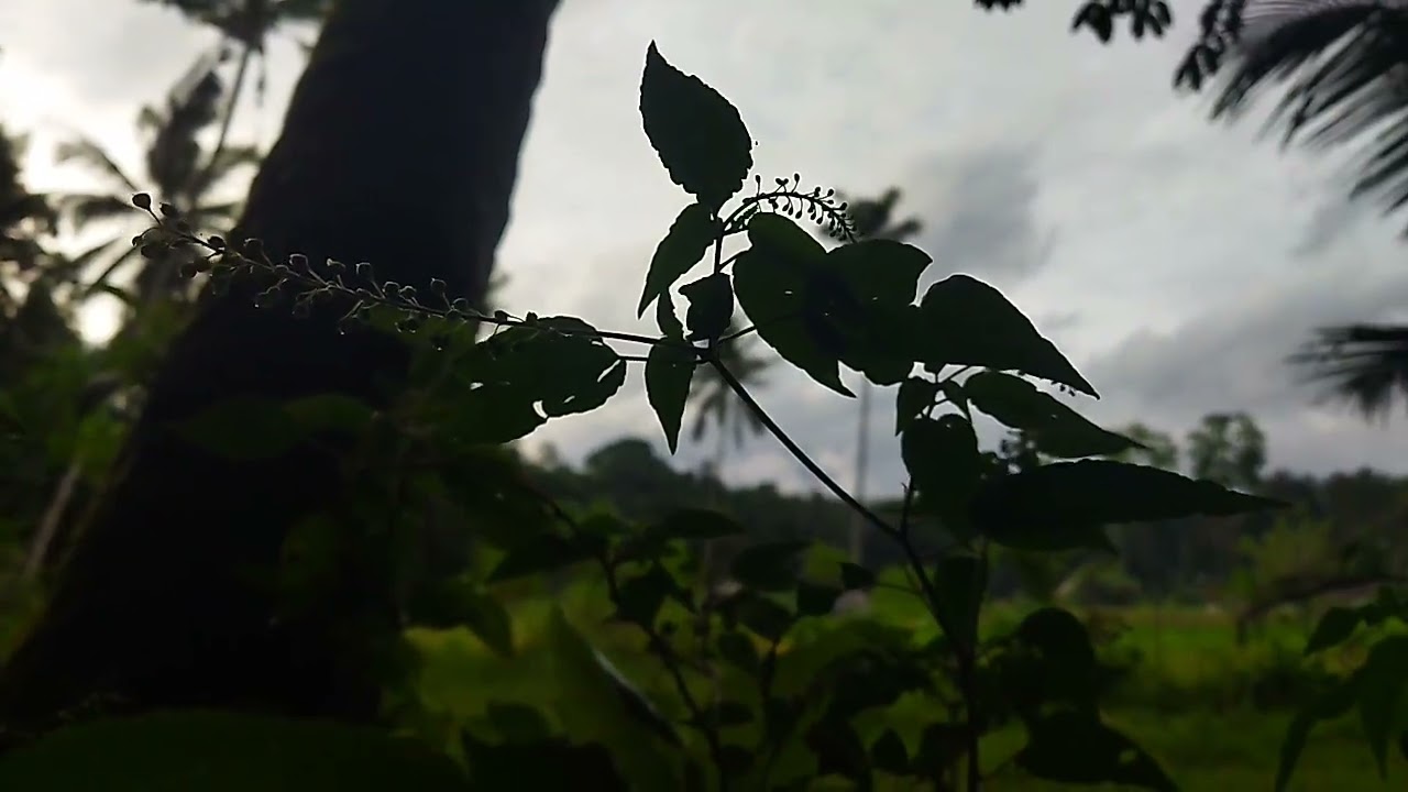 DJ RIKALA ADI METILAR