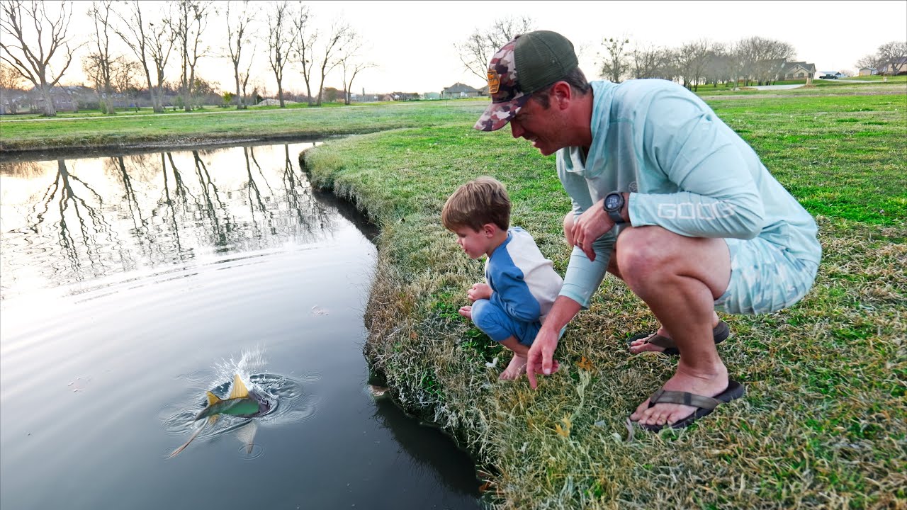 Stocking My Backyard Pond with it's First Pet Bass!