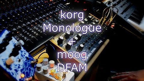 korg Monologue + moog DFAM