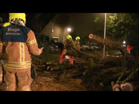 Twee bomen omgewaaid #Allegro #Krimpen aan den IJssel #gemkadij