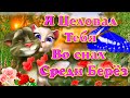 Это Видео Можно Смотреть Бесконечно ✨  Говорящий Том  💋 Я Целовал Тебя во Снах 💘