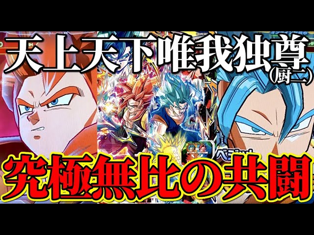 2022年秋冬新作 スーパードラゴンボールヒーローズ スイッチ ゼノ