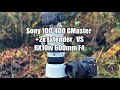 Sony 100 400mm GMaster + 2x Extender 800mm f11  vs Sony Rx10iv 600mm f4