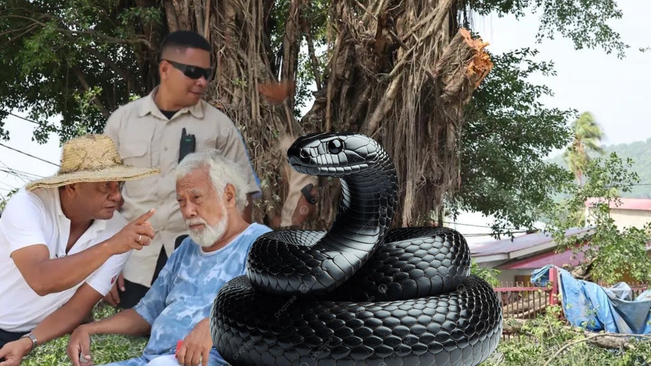 Xanana Hamulak Tesi Halihun Bot ida Maibe Rai Nain Samea Metan La Fo Fatin