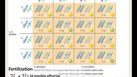 Lecture 26 Forked line method mp4