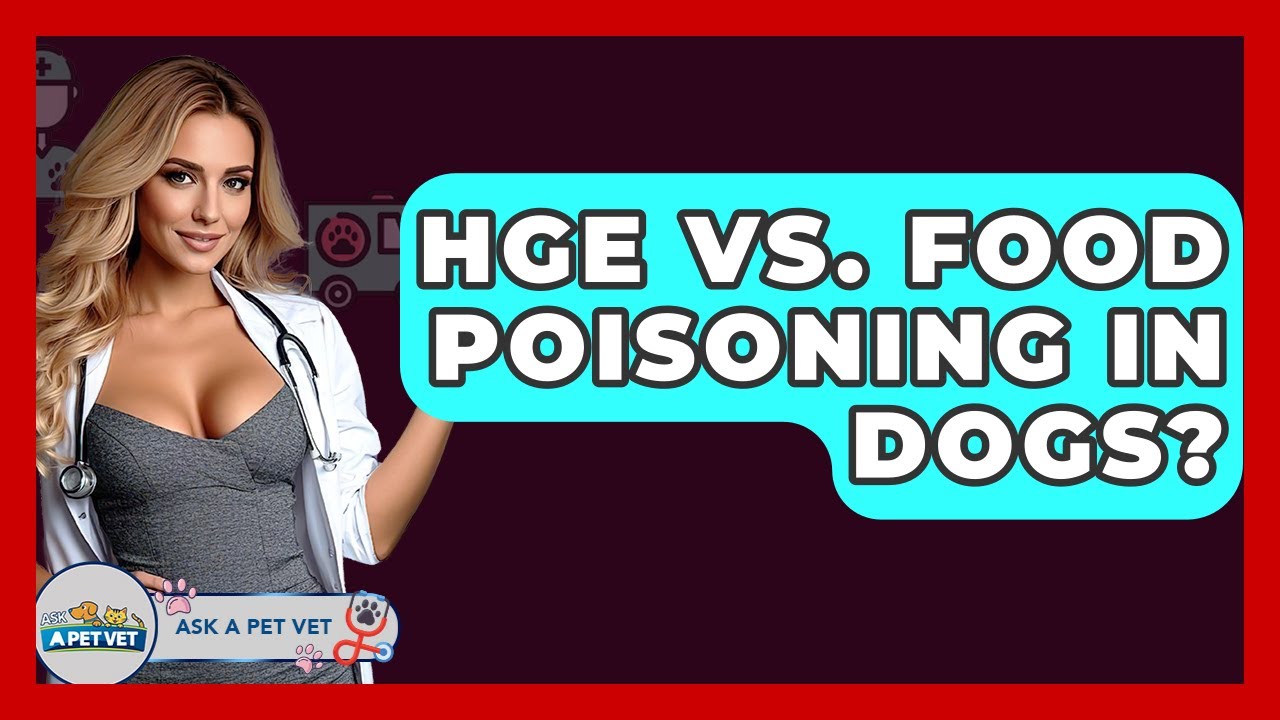 HGE Vs. Food Poisoning In Dogs? - Ask A Pet Vet
