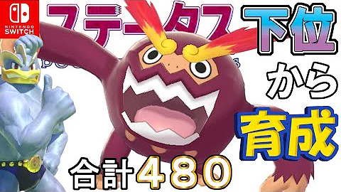 ポケモン 耐久ルンパッパ