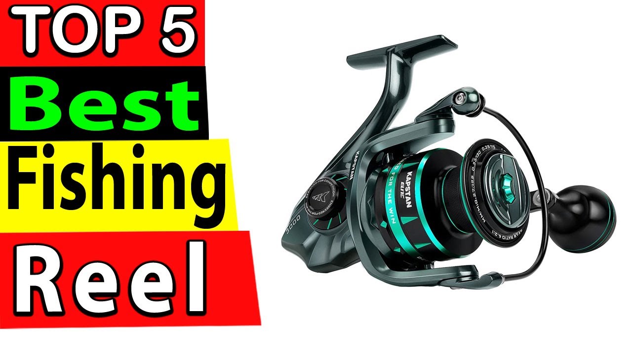 Best Fishing Reel Review 2025 (TOP 5) - YouTube