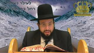 פניני "אור החיים"- פרשת בשלח- חלק ב' -הרב יחזקאל מוצא