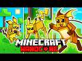 Jai survcu 100 jours en tant que pikachu le pokemon dans lunivers minecraft 