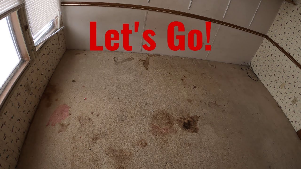 Satisfying Vacuum Action and SO Many STAINS Lee Carpet Cleaning Vlog18 YouTube