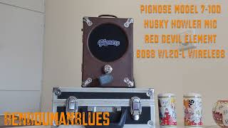 Pignose + Husky mic Red Devil element