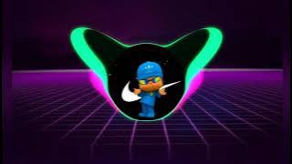 PASSARINHO QUE SOM E ESSE FUNK ( DJ TOPO) - TIK TOK