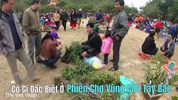 Khám Phá Chợ Phiên Vùng Cao Tây Bắc Có Gì Khác Miền Xuôi ?