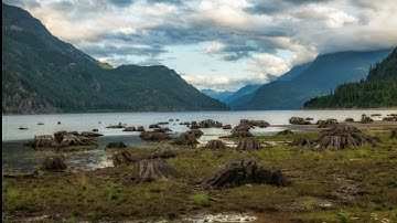 من صلاة الفجر سورة الواقعة أحمد أبو أنس