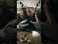 A Man Driving a Tractor Attacks a Crocodile | #TractorVsCrocodile #RiceFieldDrama