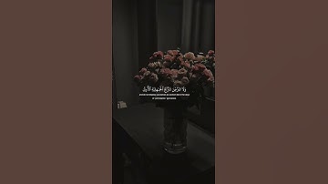 عمر سيلدينسكي - سورة الأحزاب