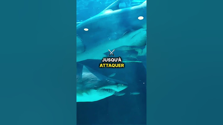 Le seul prédateur qui s’attaque aux orques! 🐋☠️