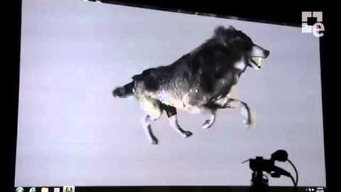 The Witcher 3 Tecnologia NVIDIA PhysX PC.mp4