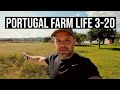 PREDATOR attack on the FARM| PORTUGAL FARM LIFE S3-E20 ⚡