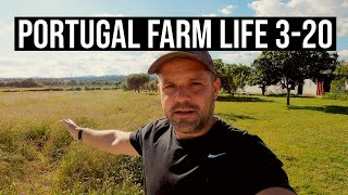 PREDATOR attack on the FARM| PORTUGAL FARM LIFE S3-E20 ⚡ screenshot 4