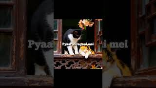 ✨🌙 Ye Kya Baat Hai Aaj Ki Chandani Mein | Aesthetic Lyrics Video Status | #explore #lyricsshorts ✨💖