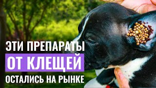 Фото Осторожно, КЛЕЩИ! КАК ЗАЩИТИТЬ ПИТОМЦА? Обзор препаратов от клещей в 2023 году