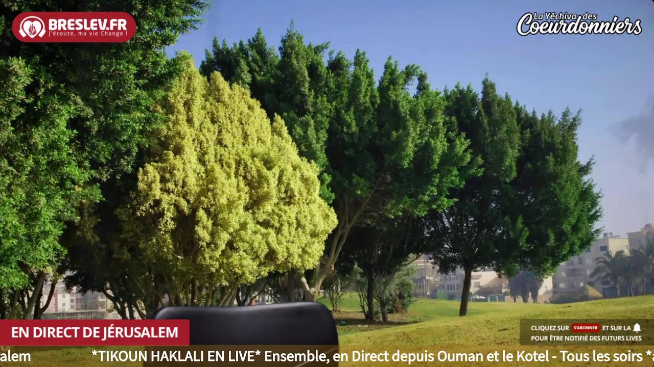LM Torah 10 _ 3  vers Pourim- - 12mars