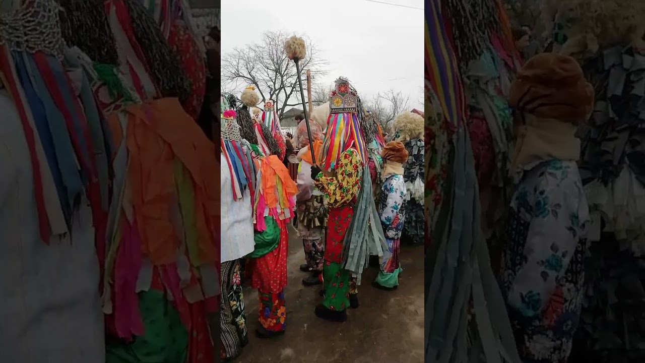 Ursul de la Blagesti 2019-2020