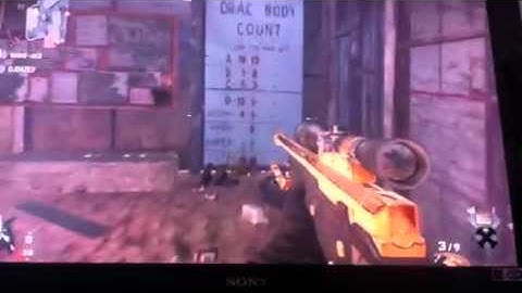 Firing Range next zombie map?