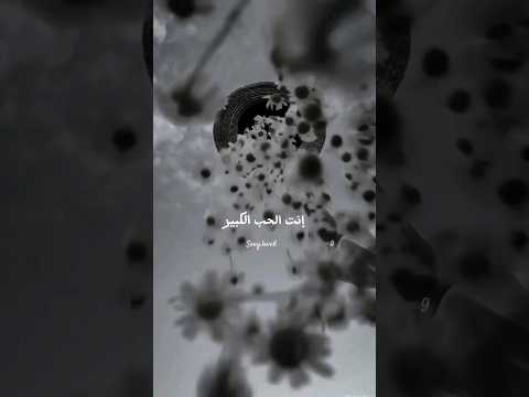 إنت الحب الكبير الأول والأخير راغب علامه   اغاني تابعني تصميمي