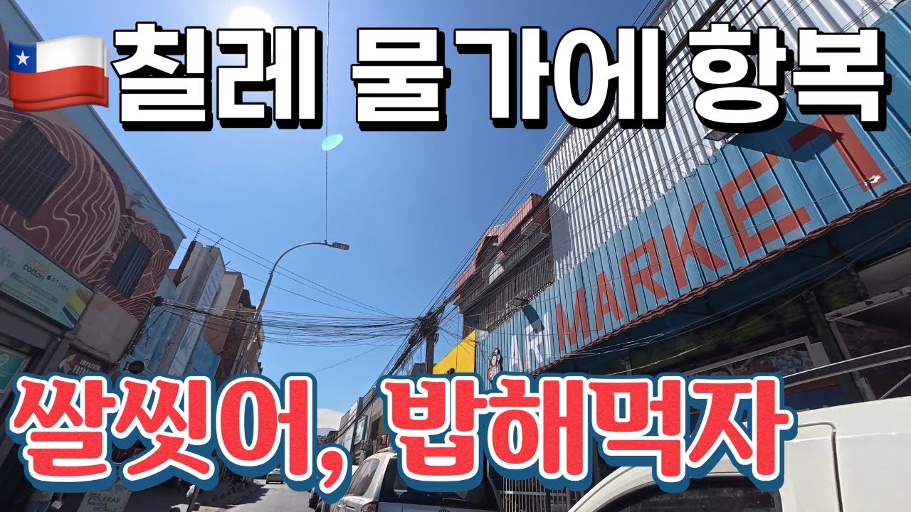 [104]🇨🇱한국마트 갈수밖에 없다~ 여기괜찮아요|칠레20