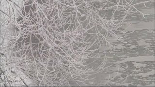 北海道 今季一番の寒さ 陸別町“ー27℃” 140地点で最高気温ー5℃下回る 厳しい寒さ続く… (22/01/30 18:40)