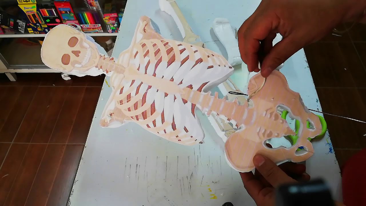 ESQUELETO ARTICULADO - YouTube