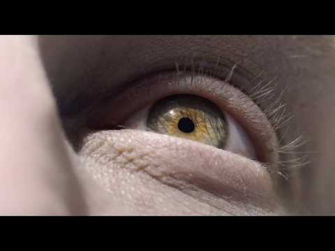 Dangerfields | No Sunlight (Official Video)
