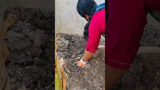 ये रहा kitchen compost 😀 #minivlog #shorts
