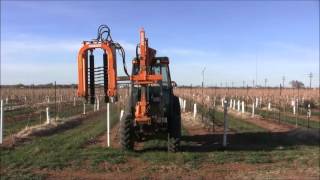 BINGER PRE-PRUNER BE IMPLEMENT