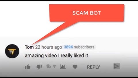 Tim/Tom/Todd Bot fake scam comment bots all over Youtube  Is this the END?