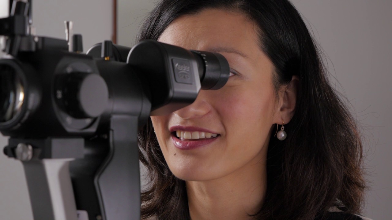 Eye Anatomy Terrace Eye Centre vrogue.co