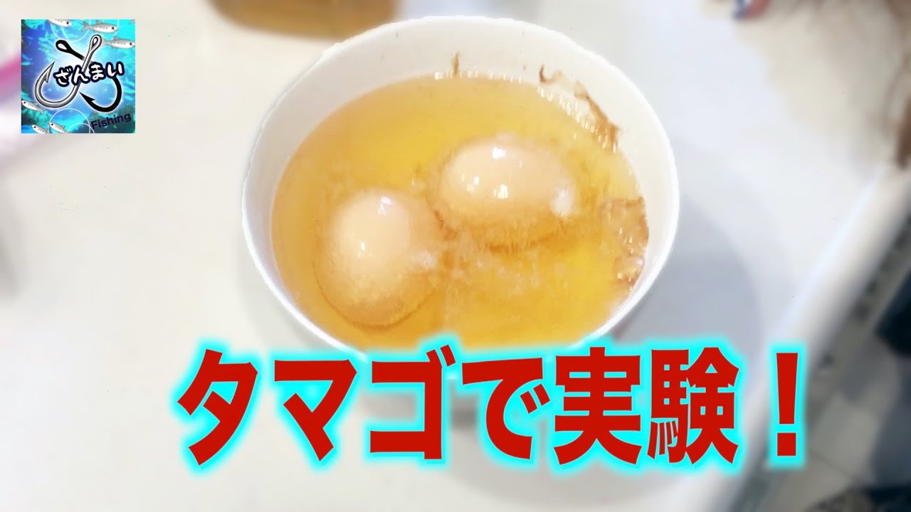 タマゴを使ってちょっとした実験をしてみました！