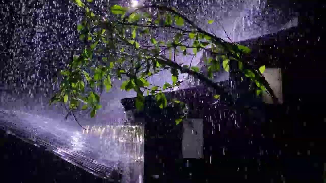 ASMR Heavy Rain on Tin Roof | Relax & Sleep Fast