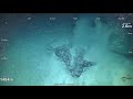 ROV Dive 433 - US EEZ Seamount - Winslow Reef Complex-North