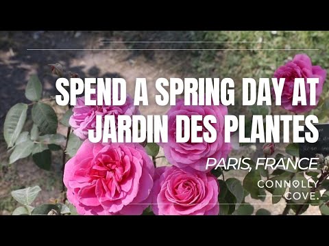 Spend A Spring Day At Jardin des Plantes | Paris | France | Things To Do In Paris