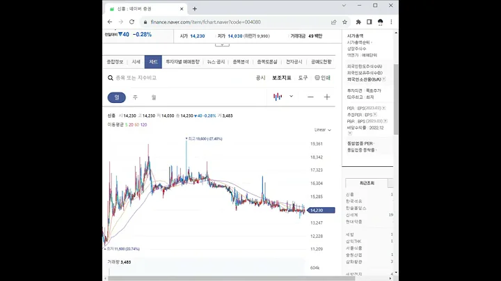 004080신흥 주가 전망 및 차트 분석