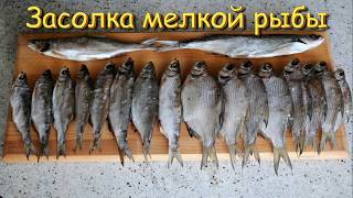 Засолка Рыбы. Выпуск №242