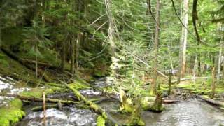 Mvi0225.Avi