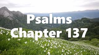 The Book of Psalms Chapter 137 - New King James Version (NKJV) - Audio Bible