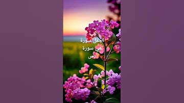 سورة يس🌸🕋💛🧡❤️🤍🖤🤎💜💙💚💖 #hijab #beautiful #fashion