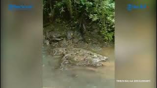 Suganing, Kolam Tersembunyi di Susut Bangli