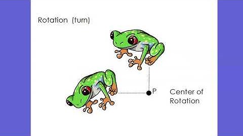 1.7 Transformations in the Coordinate Plane